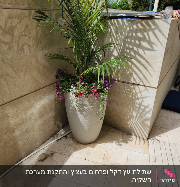 עציץ גדול עם צמח ירוק ופרחים צבעוניים